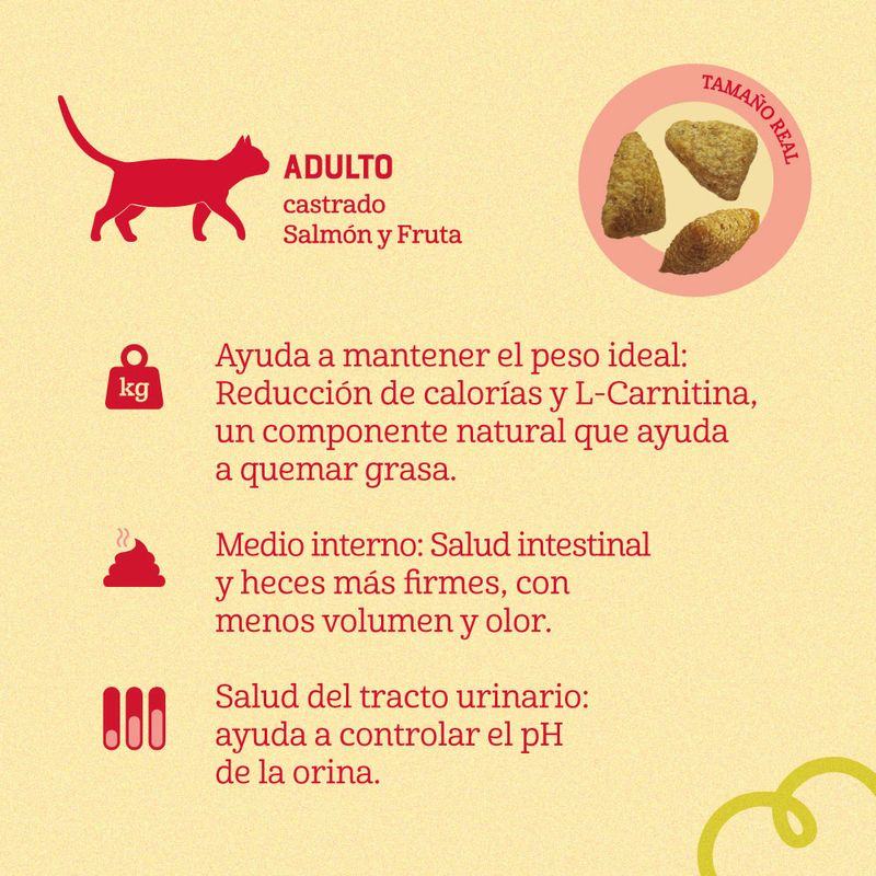 ComidaparaGatoNaturalisAdultoCastradoSalmonyFrutas1_5Kg-3.jpg