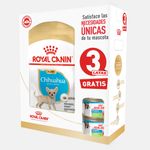 Mix-feeding-Chihuahua-Puppy-1.13-kl-gratis-3-latas-xsamll.jpg