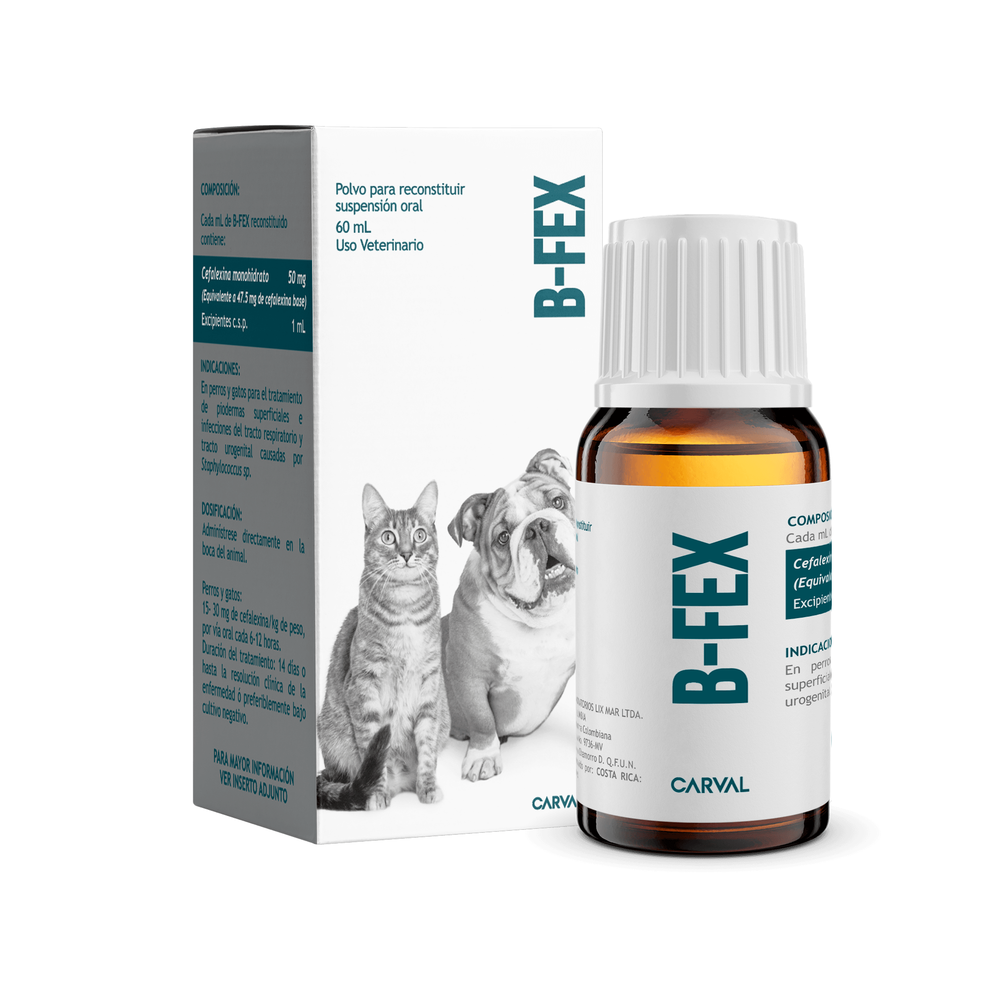 B-Fex - Animals Veterinaria - Tu tienda de mascotas