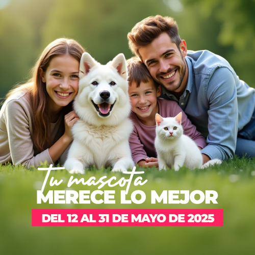 Ver más