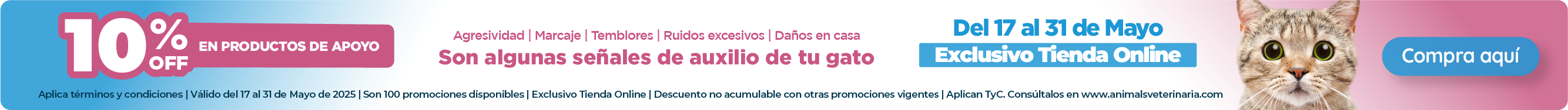 COMPORTAMIENTO FELINO