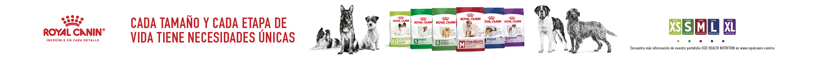 ROYAL CANIN TALLAS