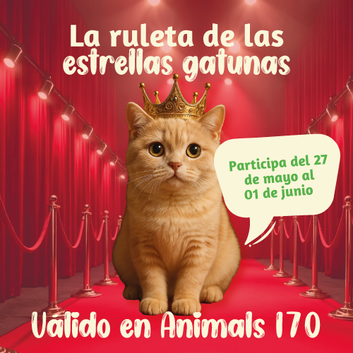 Ver más