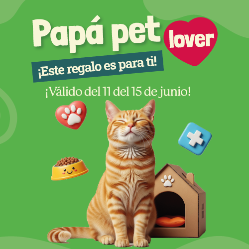 Ver más