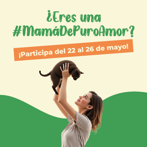 Ver más