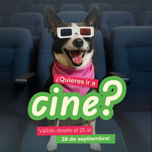 Ver más