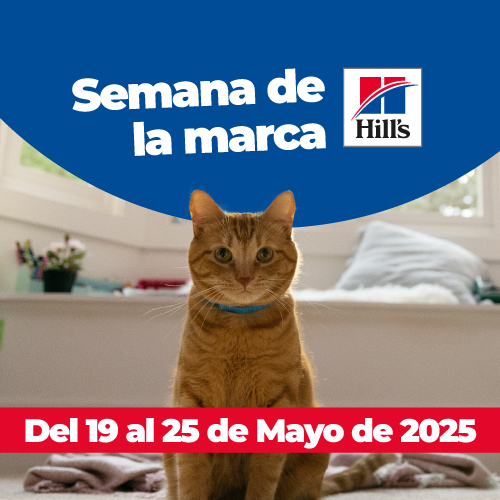 Ver más