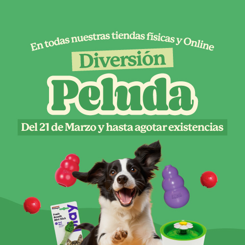 Ver más